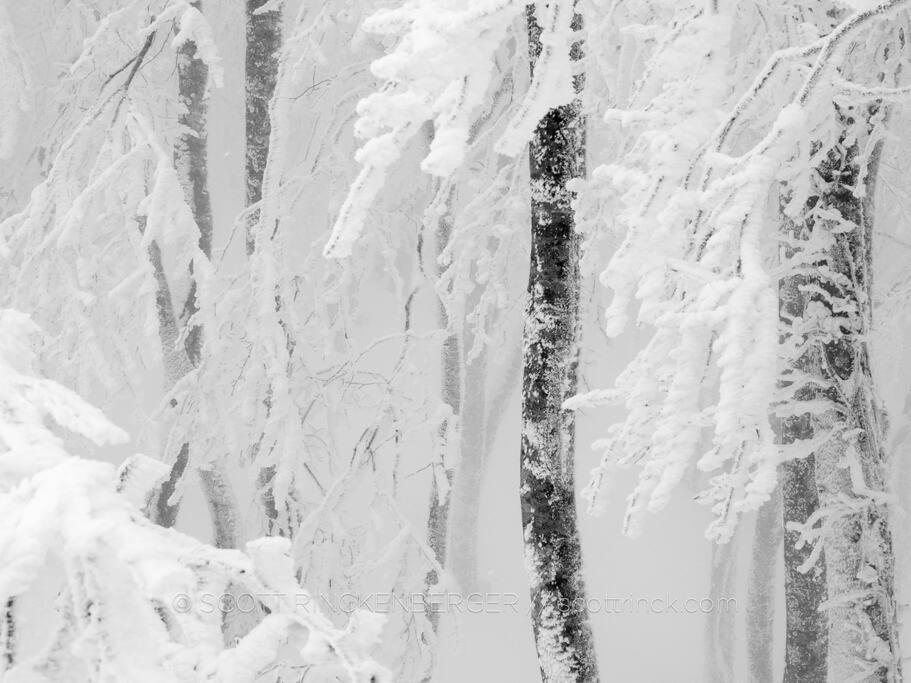 The Misorano Cottage Hakuba Exterior foto